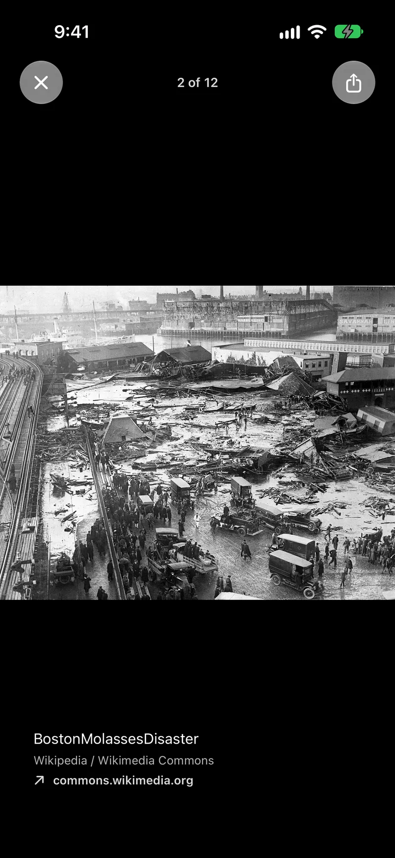 A full-screen photograph of the molasses flood aftermath in the Lorelet picture viewer
